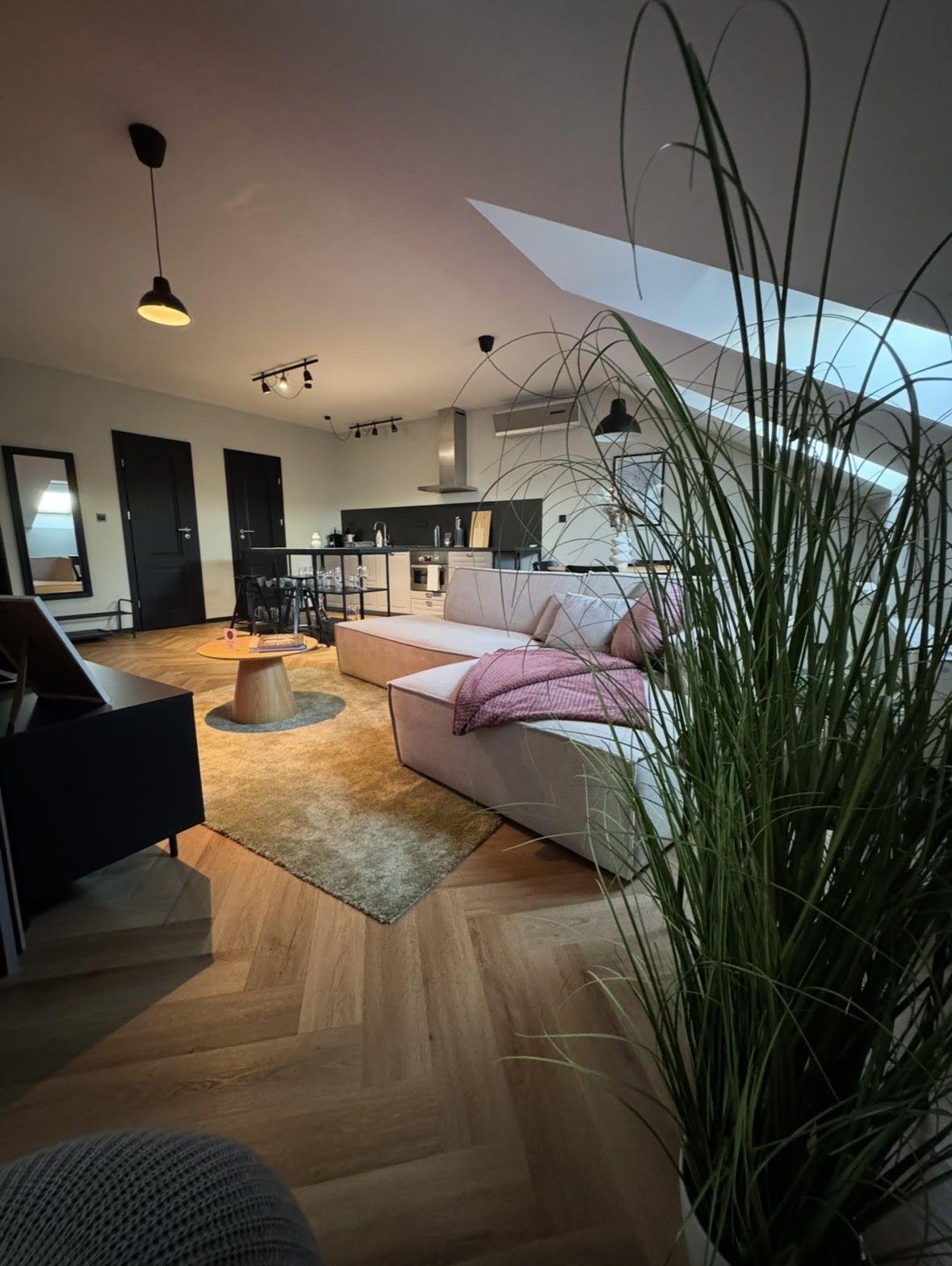 Wohnzimmer mit Sofa und der Küche im Hintergrund